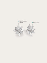 Poinsettia Stud Earrings