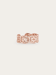 Intertwined Chain Ring